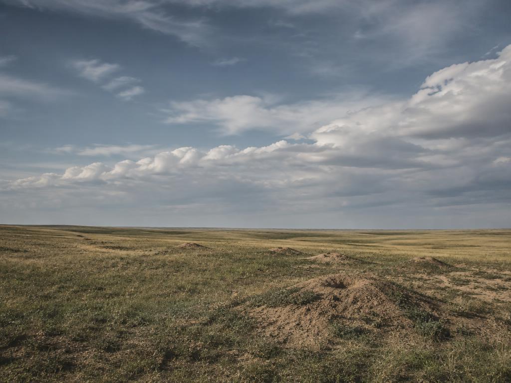 South Dakota prairie dog shoot