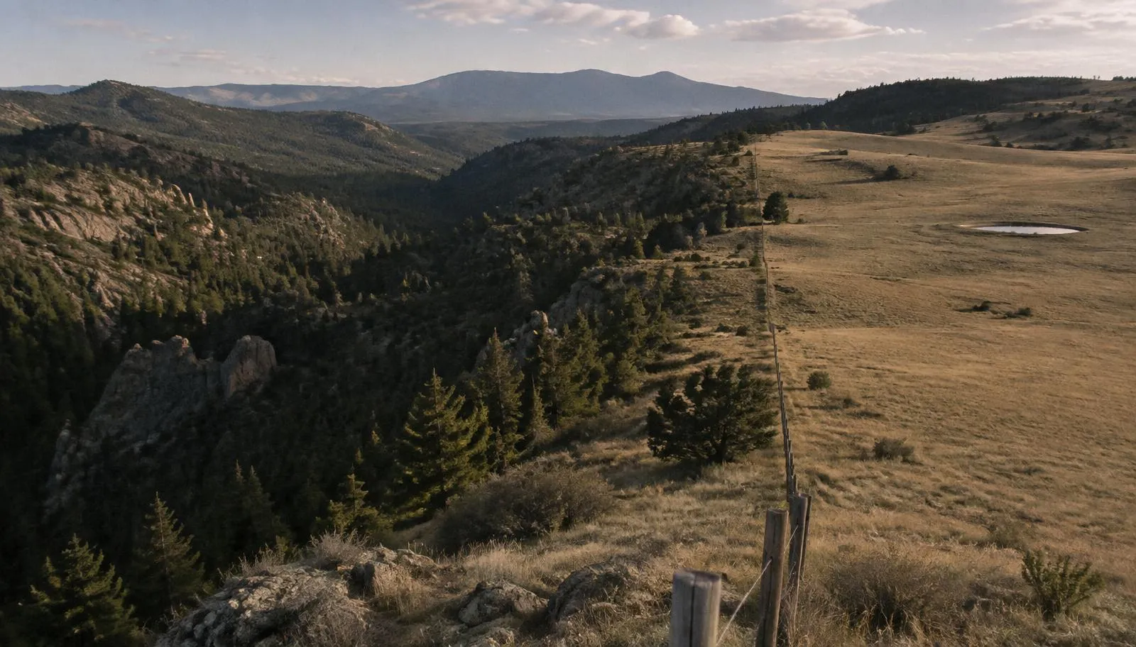 Fence line on a ridge separating open ranch grassland from forested canyon country in New Mexico
